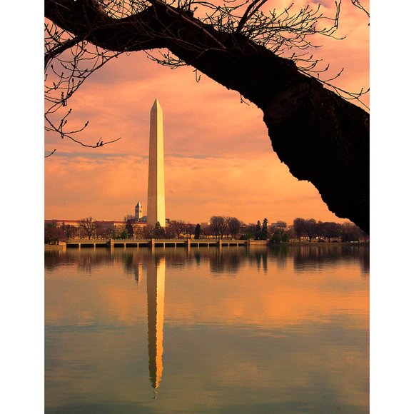 ArtisticPhoto Other - Washington Monument 11 x 14 print
